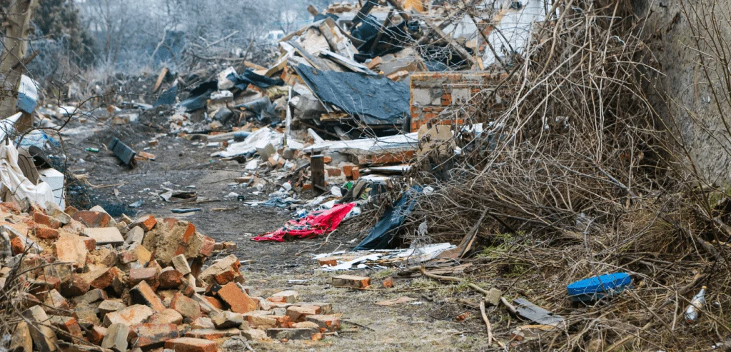 Debris Removal Service (we no longer offer this) 2 debris removel service -bw movers2