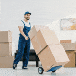 BW Movers works in the Brackenhurst and Alrode Area. 6 PqvNUu0l8ZpQZMPGd8ylbTMLO6h94DGgRdTgHQl6 1