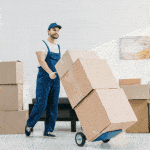 BW Movers works in the Brackenhurst and Alrode Area. 5 z4US0DshH6Wy0UEZ1R0euMWu46hiOo8jy0N7F5px 1